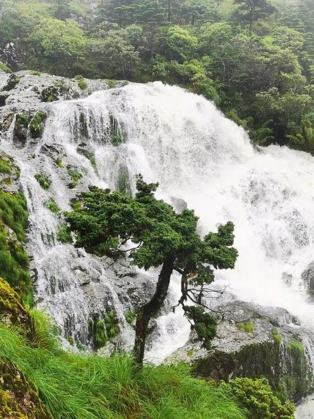 雷竞技比分